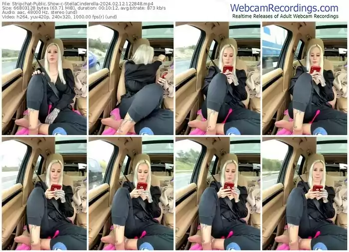 2024/02/12/stripchat-stellacinderella-12-28-48