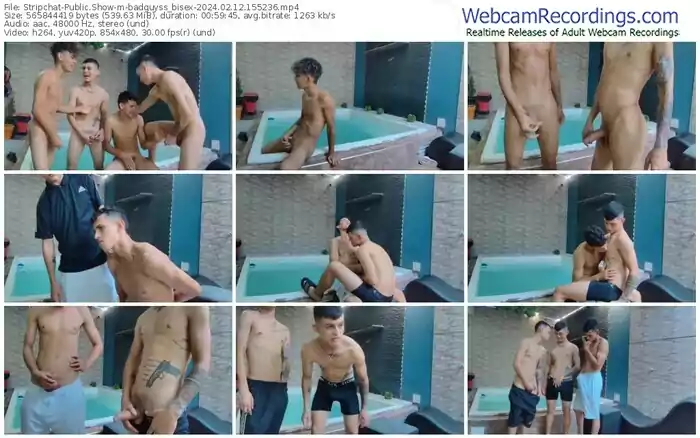 2024/02/12/stripchat-badguyss_bisex-15-52-36