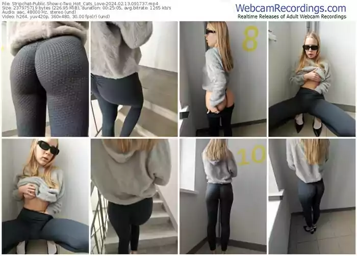 2024/02/13/stripchat-two_hot_cats_love-09-17-37
