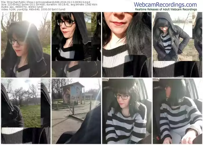 2024/02/13/stripchat-princessekandy666-08-36-19