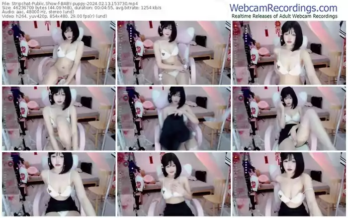 2024/02/13/stripchat-baby-puppy-15-37-30