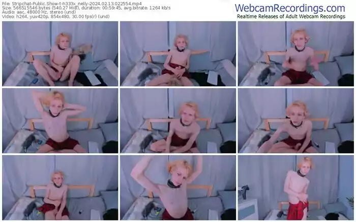 2024/02/13/stripchat-h333x_nelly-02-25-54
