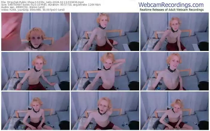 2024/02/13/stripchat-h333x_nelly-03-34-36
