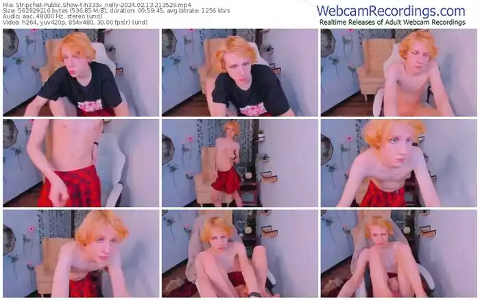 2024/02/13/stripchat-h333x_nelly-21-35-29