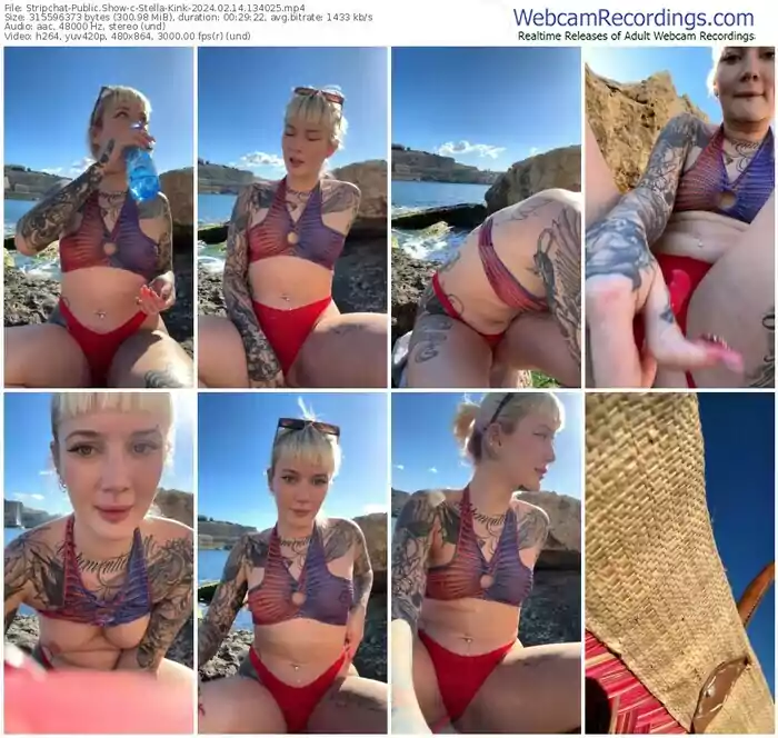 2024/02/14/stripchat-stella-kink-13-40-25