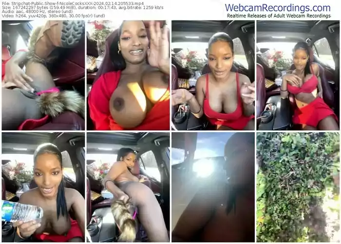 2024/02/14/stripchat-nicolecocksxxx-20-55-33