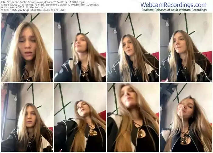 2024/02/14/stripchat-wow_dream-11-30-46