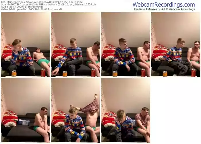 2024/02/15/stripchat-cookieboy88-18-37-13