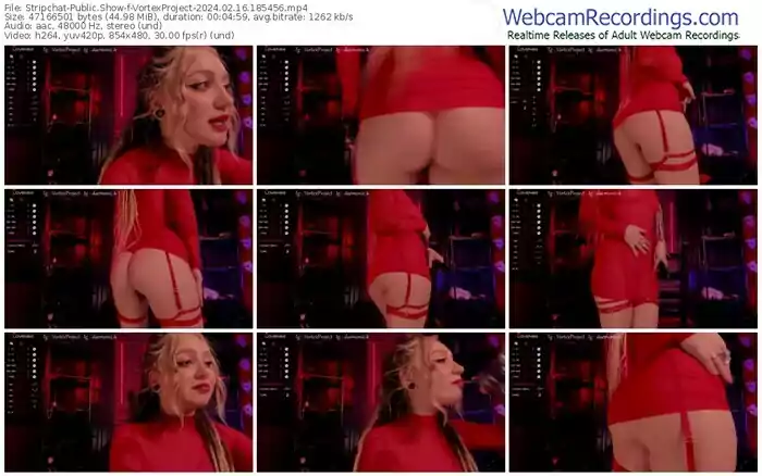 2024/02/16/stripchat-vortexproject-18-54-56