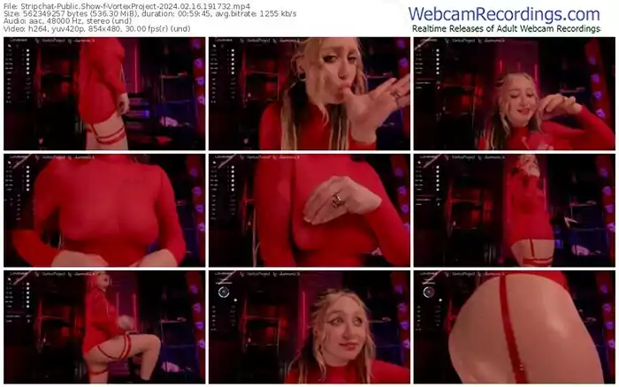 2024/02/16/stripchat-vortexproject-19-17-32