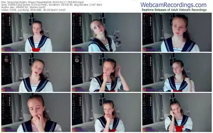 2024/02/17/stripchat-rosewellsk-00-53-00