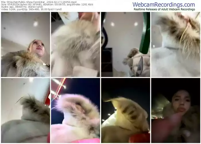 2024/02/17/stripchat-pinkstar_-12-00-53