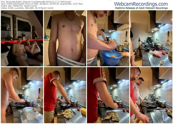 2024/02/17/stripchat-cookieboy88-17-44-52