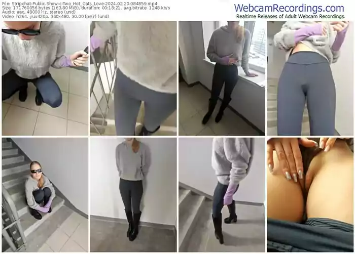 2024/02/20/stripchat-two_hot_cats_love-08-48-59