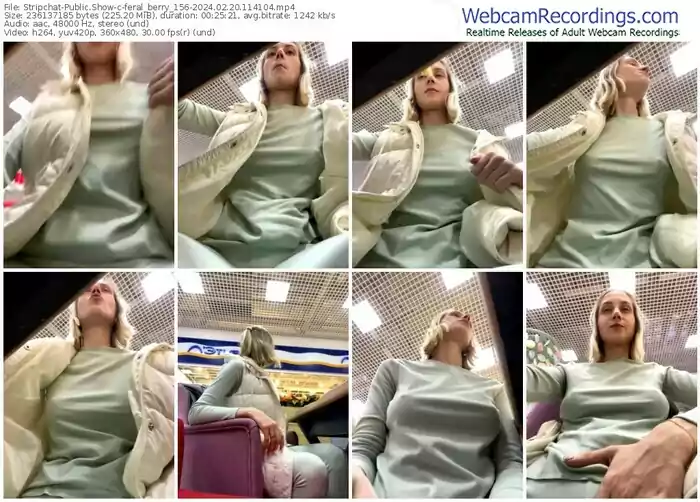 2024/02/20/stripchat-feral_berry_156-11-41-04