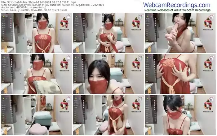 2024/02/20/stripchat-11-x-16-52-41