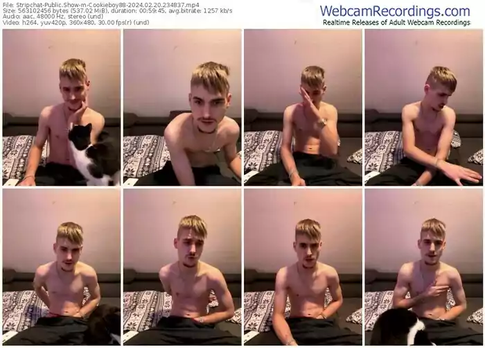 2024/02/20/stripchat-cookieboy88-23-48-37