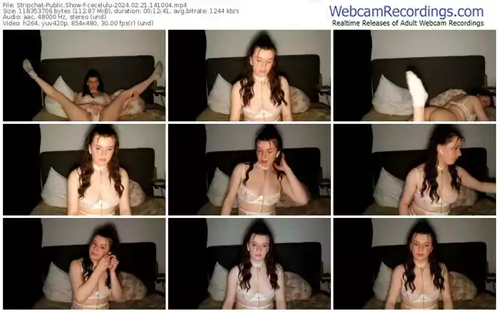 2024/02/21/stripchat-cecelulu-14-10-04