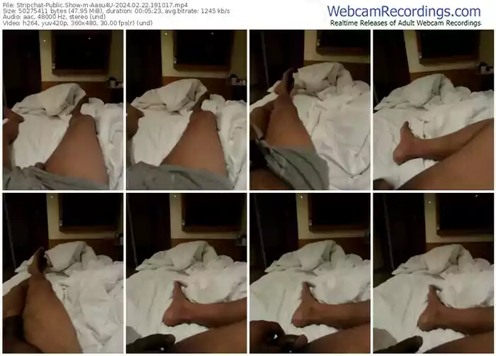 2024/02/22/stripchat-aasu4u-19-10-17