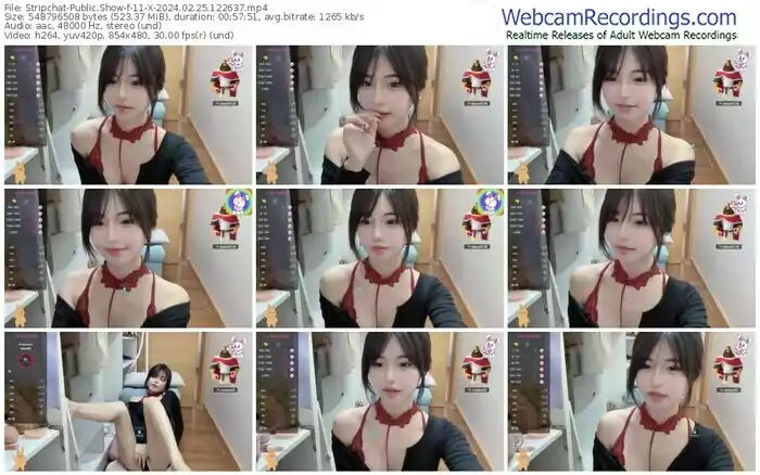 2024/02/25/stripchat-11-x-12-26-37