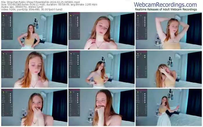 2024/02/25/stripchat-rosewellsk-04-58-31