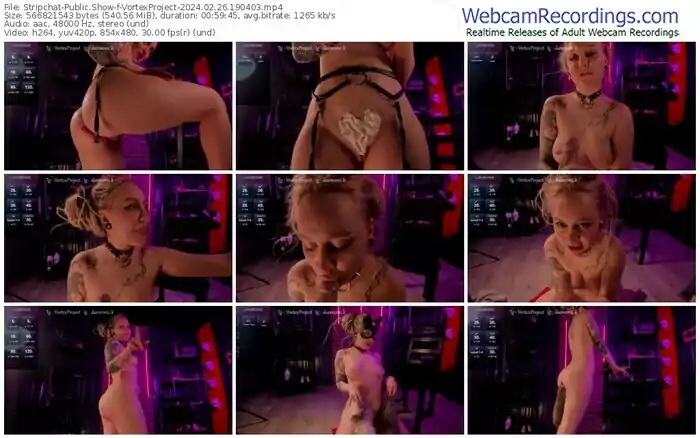 2024/02/26/stripchat-vortexproject-19-04-03