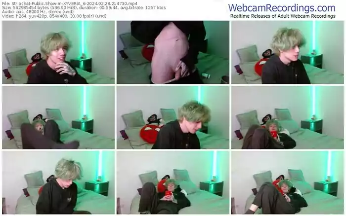 2024/02/28/stripchat-xyveria_6-21-47-30