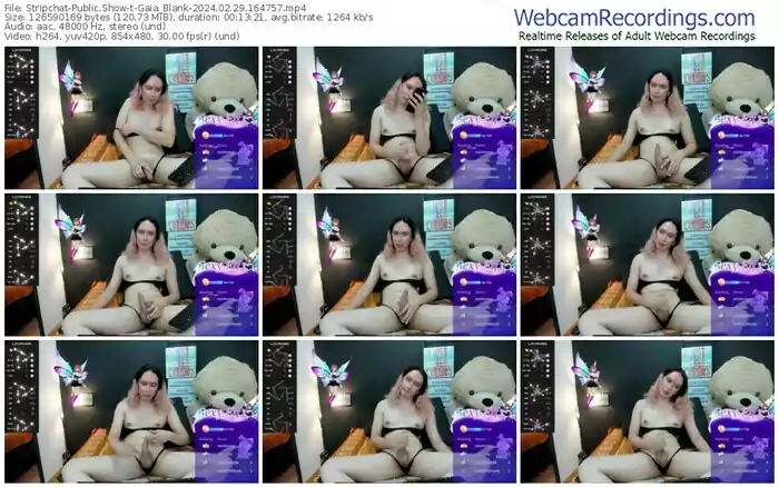 2024/02/29/stripchat-gaia_blank-16-47-57