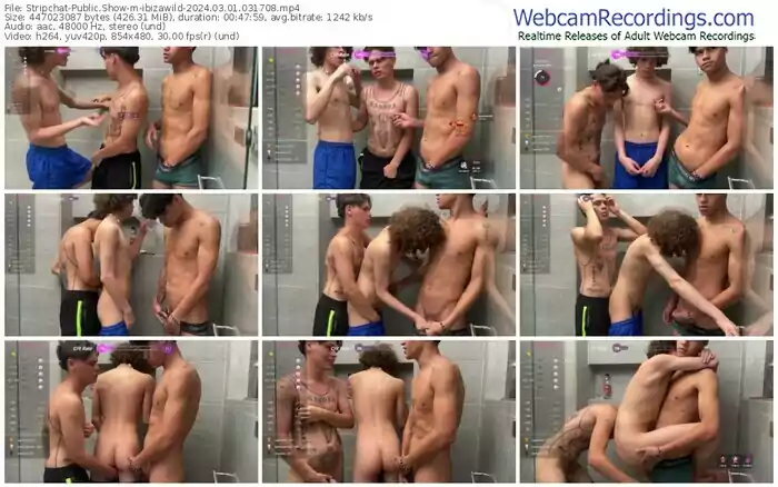 2024/03/01/stripchat-ibizawild-03-17-08