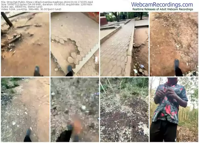 2024/03/02/stripchat-black-mamba-madingo-17-41-55