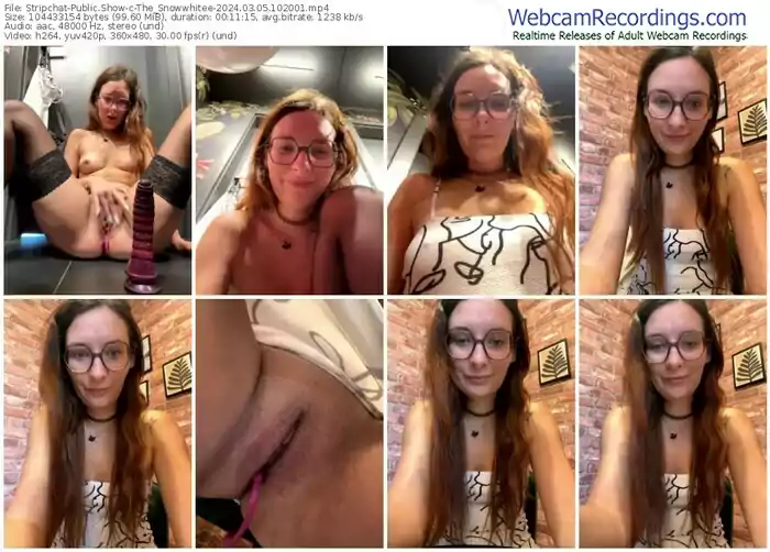 2024/03/05/stripchat-the_snowwhitee-10-20-01