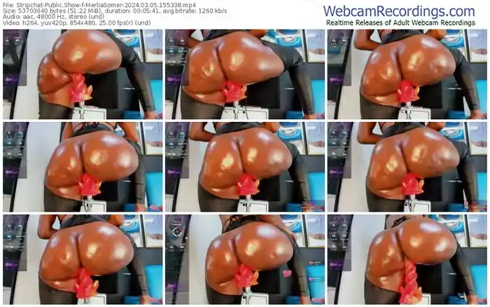 2024/03/05/stripchat-merliasomer-15-53-38