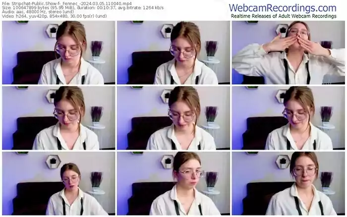 2024/03/05/stripchat-_fennec_-11-00-40