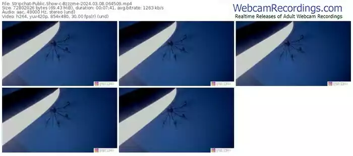 2024/03/08/stripchat-bzzzme-06-45-09