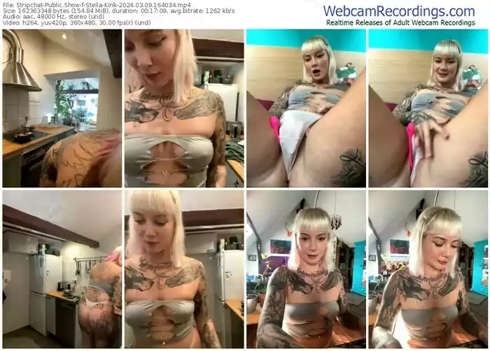 2024/03/09/stripchat-stella-kink-16-40-34