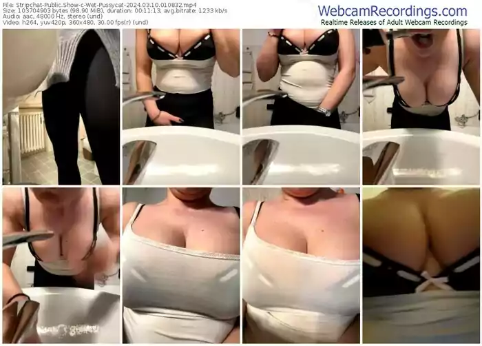 2024/03/10/stripchat-wet-pussycat-01-08-32