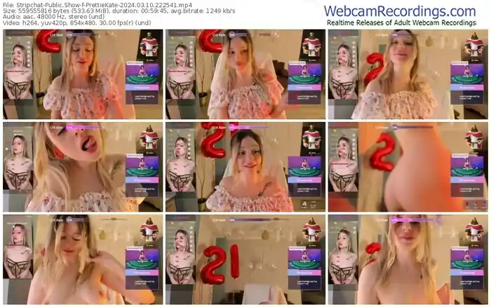 2024/03/10/stripchat-prettiekate-22-25-41