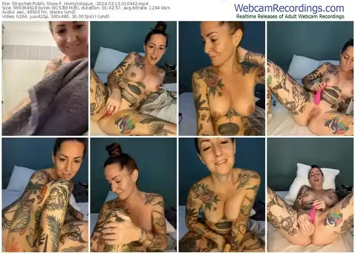 2024/03/13/stripchat-_hornytologue_-01-04-42