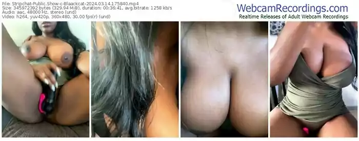 2024/03/14/stripchat-blaackcat-17-58-40