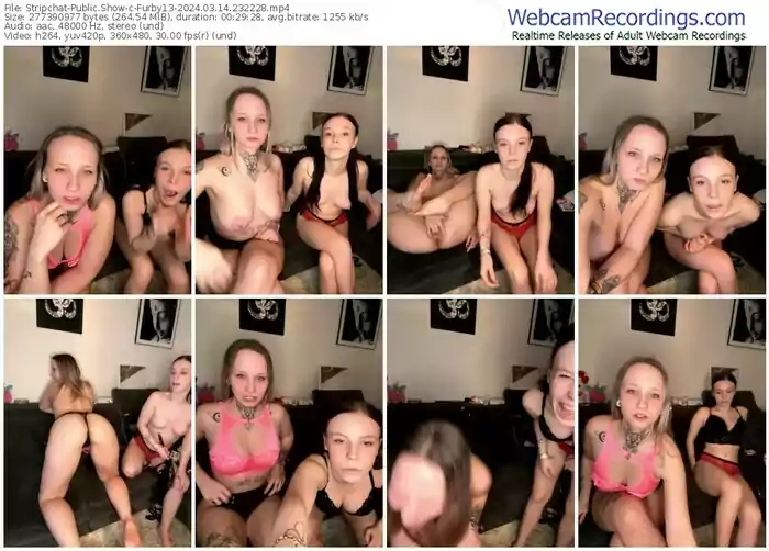 2024/03/14/stripchat-furby13-23-22-28