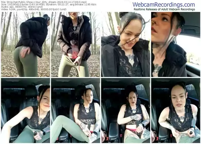 2024/03/14/stripchat-your_dirty_dream-17-20-10