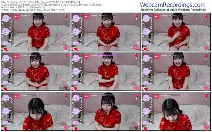 2024/03/14/stripchat-m_na_no-14-02-43