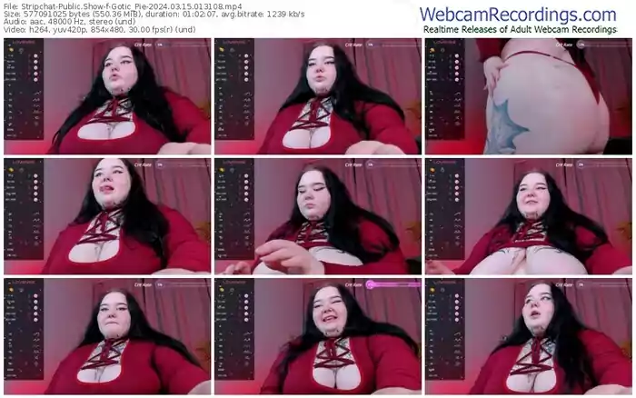 2024/03/15/stripchat-gotic_pie-01-31-08