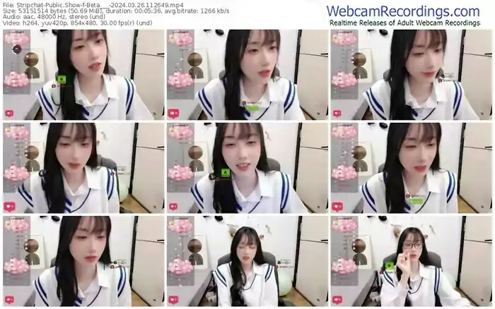 2024/03/26/stripchat-beta___-11-26-49