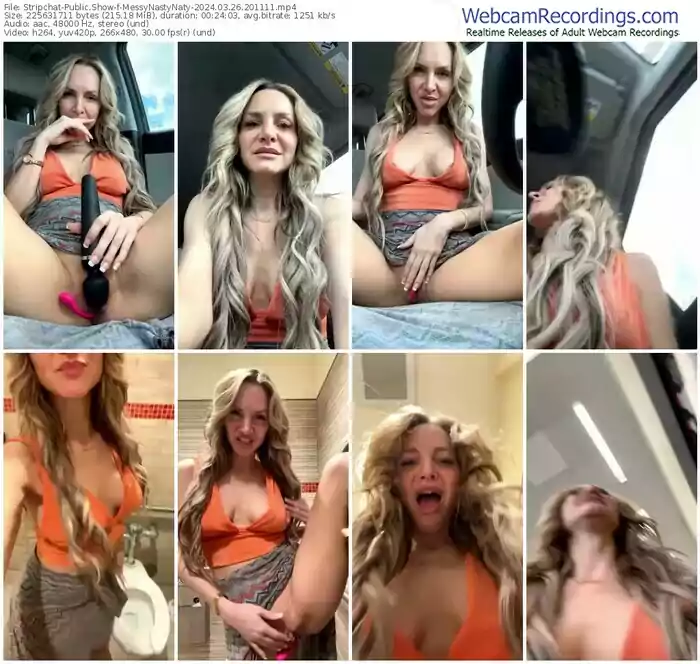 2024/03/26/stripchat-messynastynaty-20-11-11