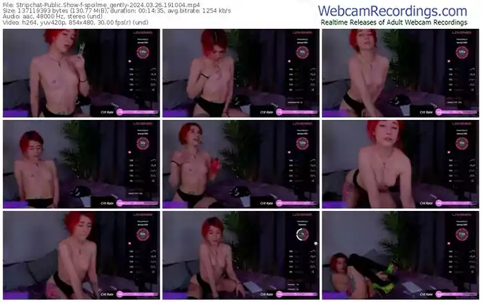 2024/03/26/stripchat-spoilme_gently-19-10-04