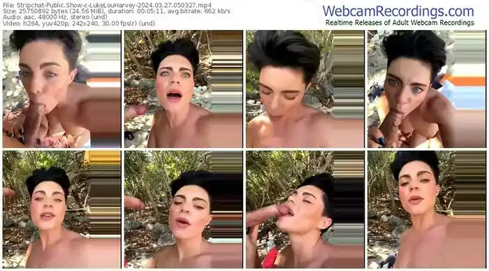 2024/03/27/stripchat-lukelouharvey-05-03-27