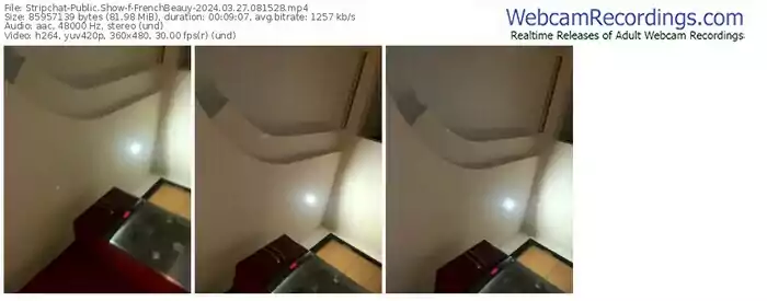 2024/03/27/stripchat-frenchbeauy-08-15-28