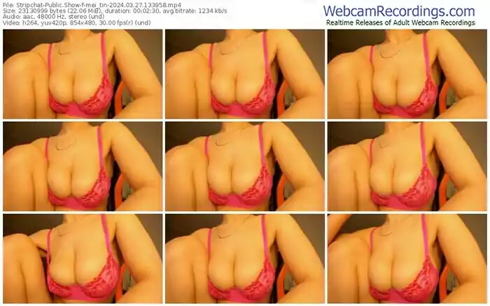 2024/03/27/stripchat-mei_tin-13-39-58