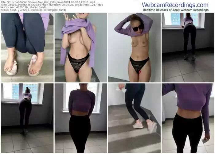 2024/03/31/stripchat-two_hot_cats_love-14-20-11